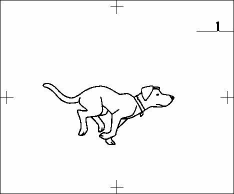 강아지달리는액션