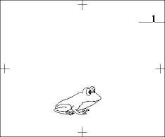 개구리 뛰는장면