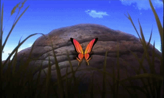 나비가 날개짓하는장면