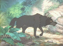 늑대가 걸어가는장면