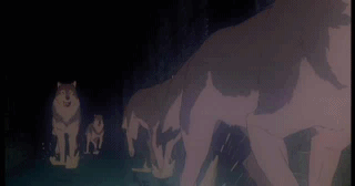 늑대 여러마리가 뛰는장면