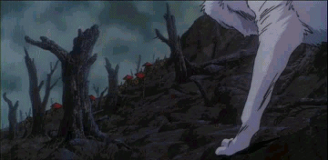 동물 쫒아가는장면