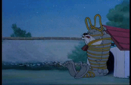 톰이 강아지놀리며 도망가는장면