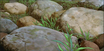 바람에 날리는 풀