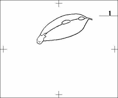 낙엽에 이슬이 떨어지는 장면