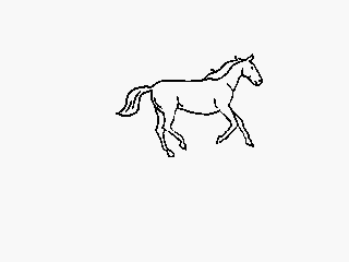 말이 달려가는 장면