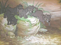 강아지가 뛰어내리는 모습