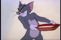 고양이가 음식을 훔쳐먹는장면