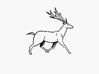 사슴이 걸어가는 장면