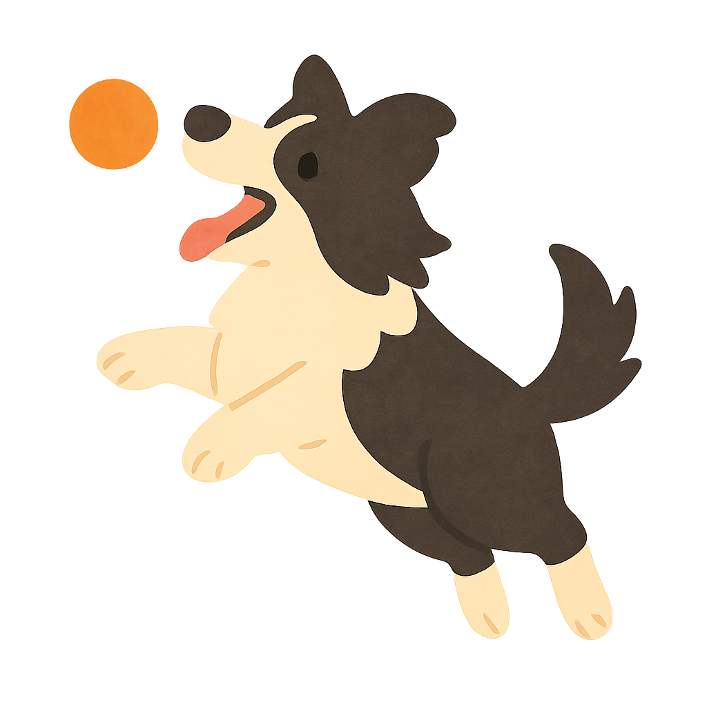 보더콜리가 공받는모습