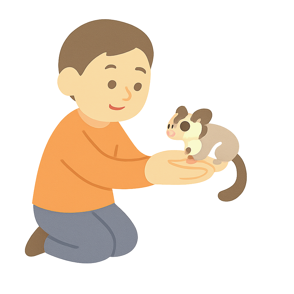 슈가글라이더를 손바닥에 올리기