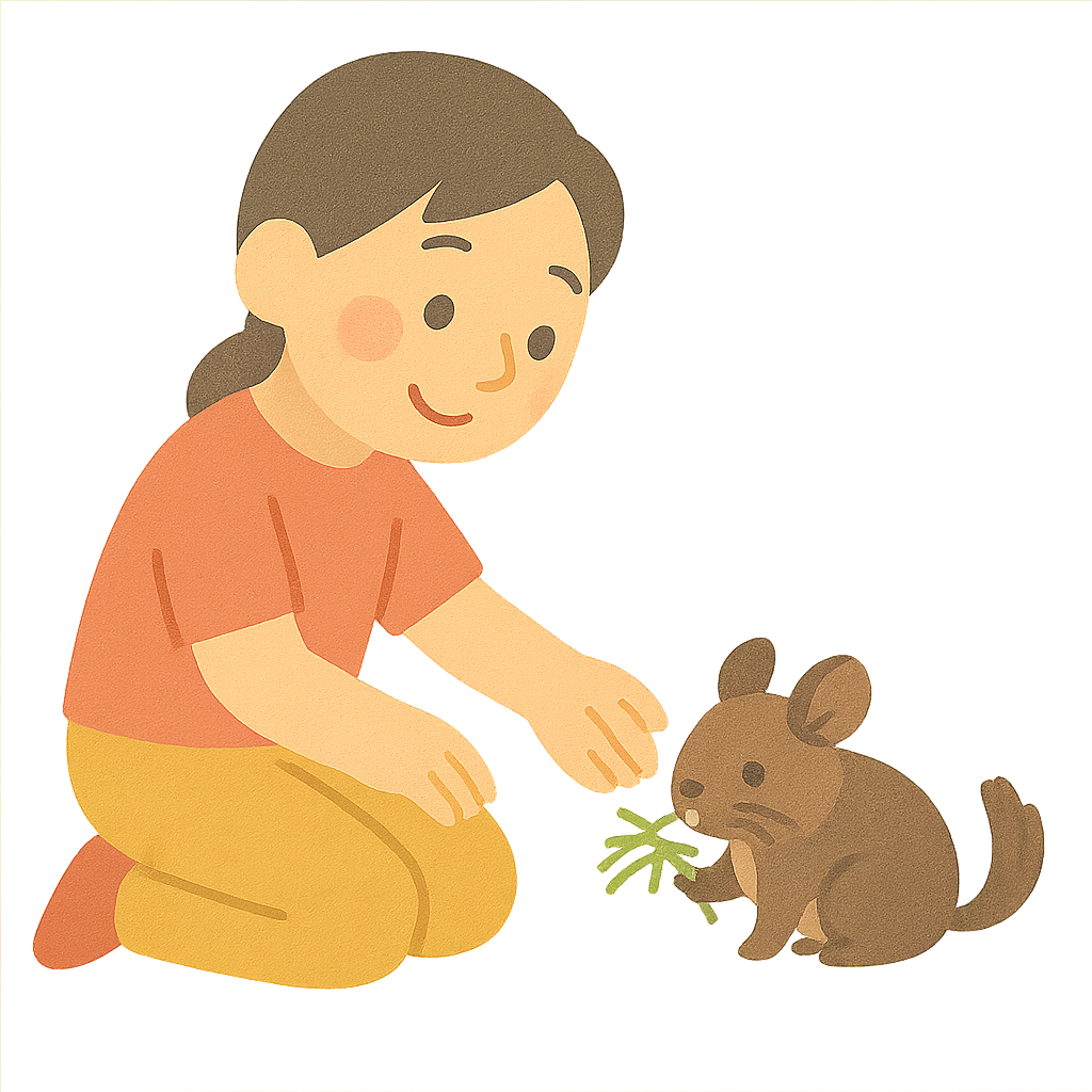 데구에게 건초간식주기