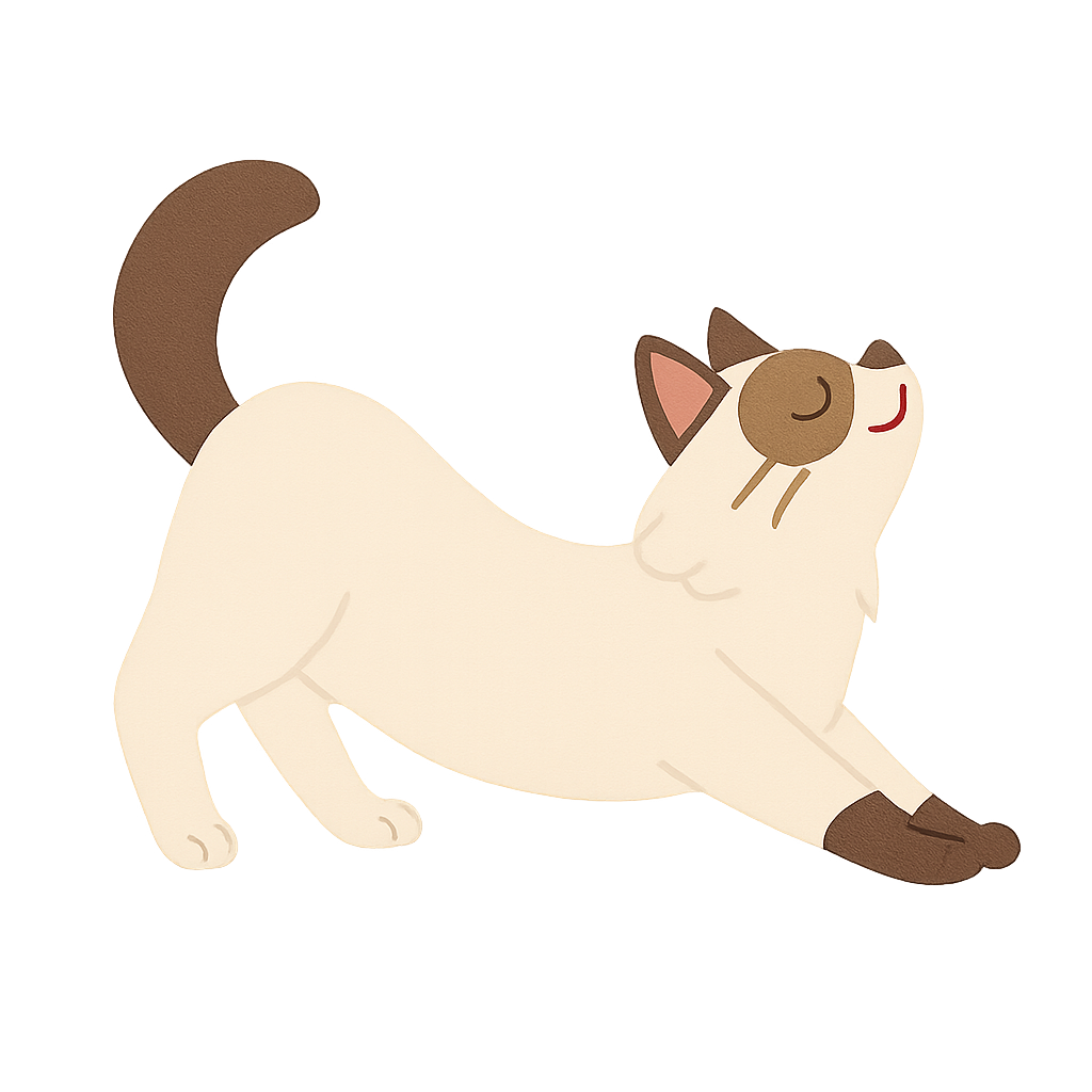 랙돌이 기지개 펴는모습