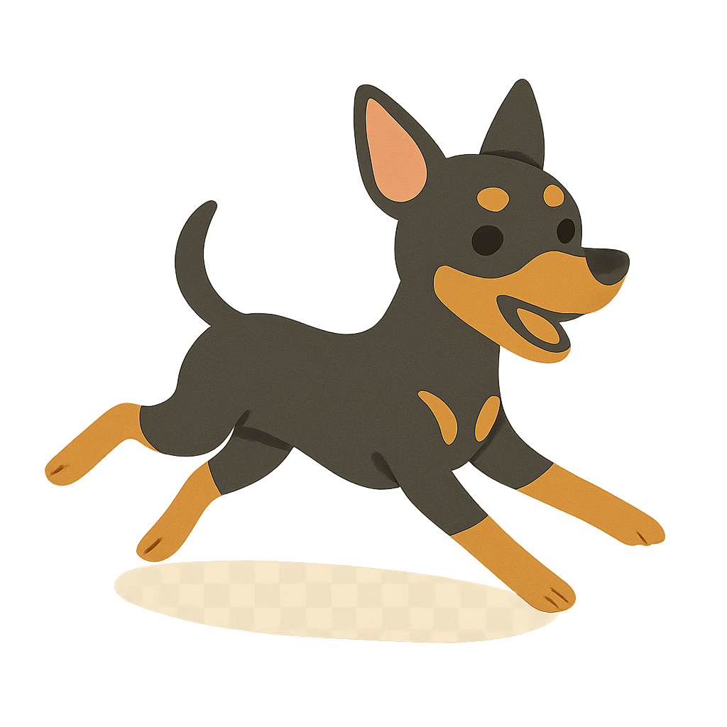 미니핀이 달리는 모습