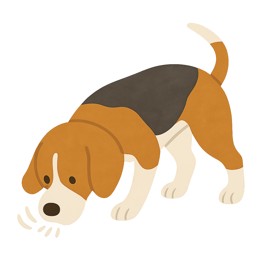 바글견이 코로 냄새맡는모습