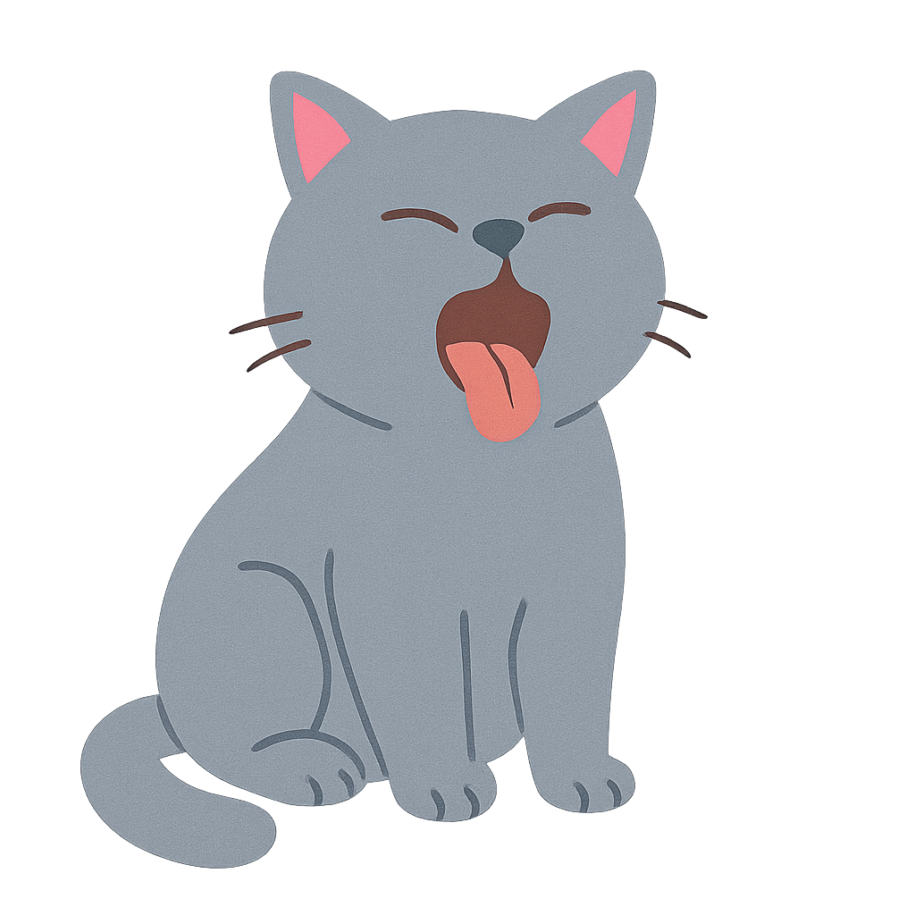 브리타시 쇼트헤어가 하품하는모습