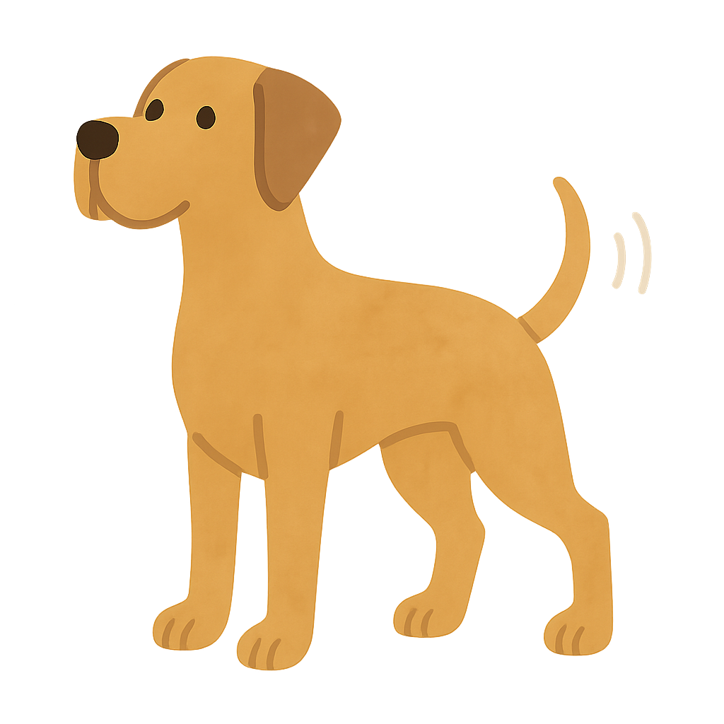 그레이트데인이 꼬리치는모습