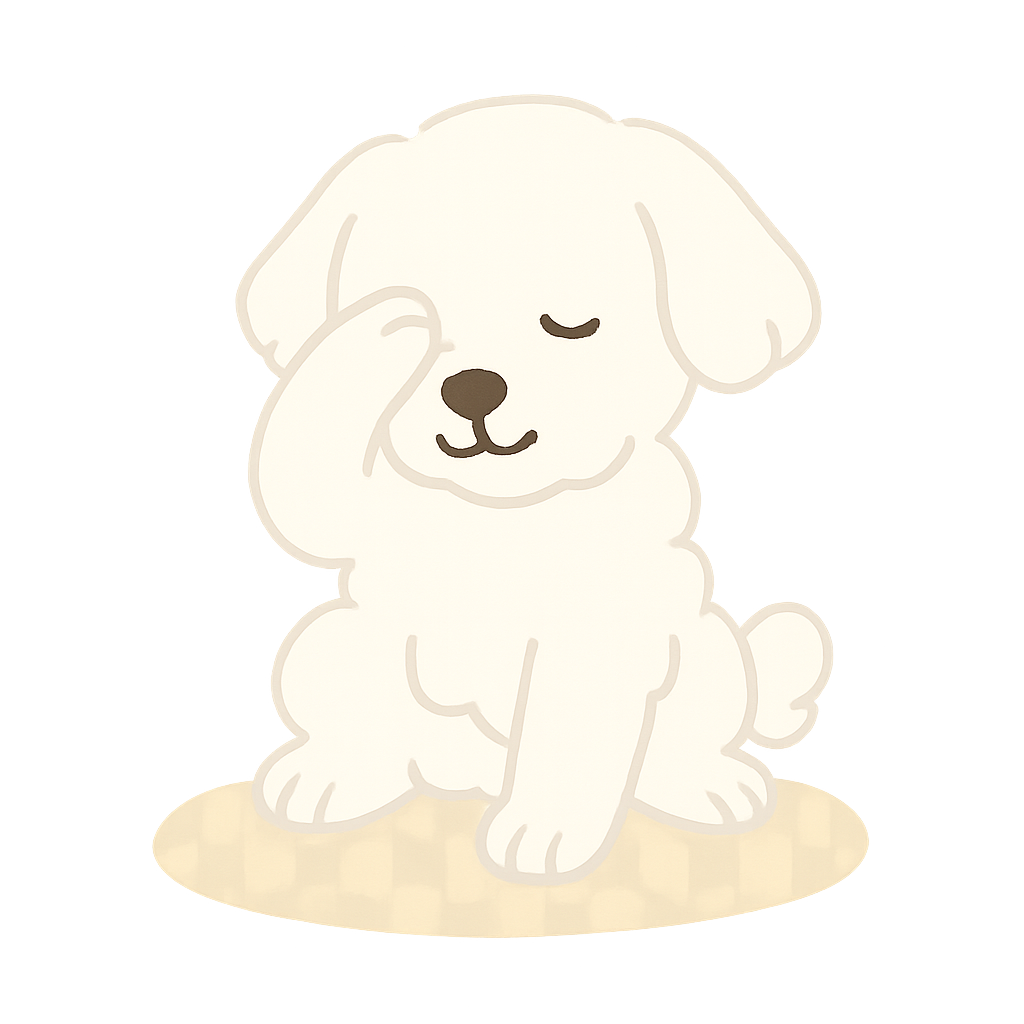 말티즈가 앞발로 얼굴문지르기