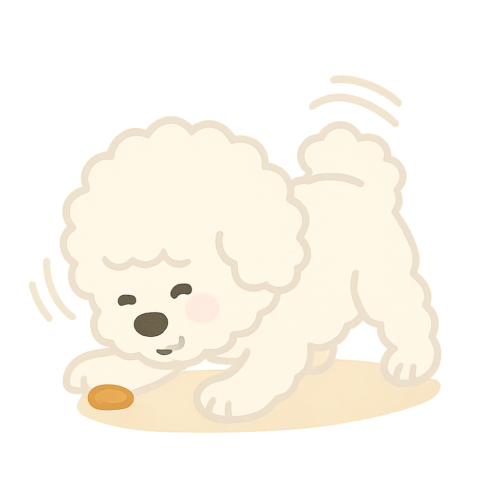 바숑 프리제가 간식찾는모습