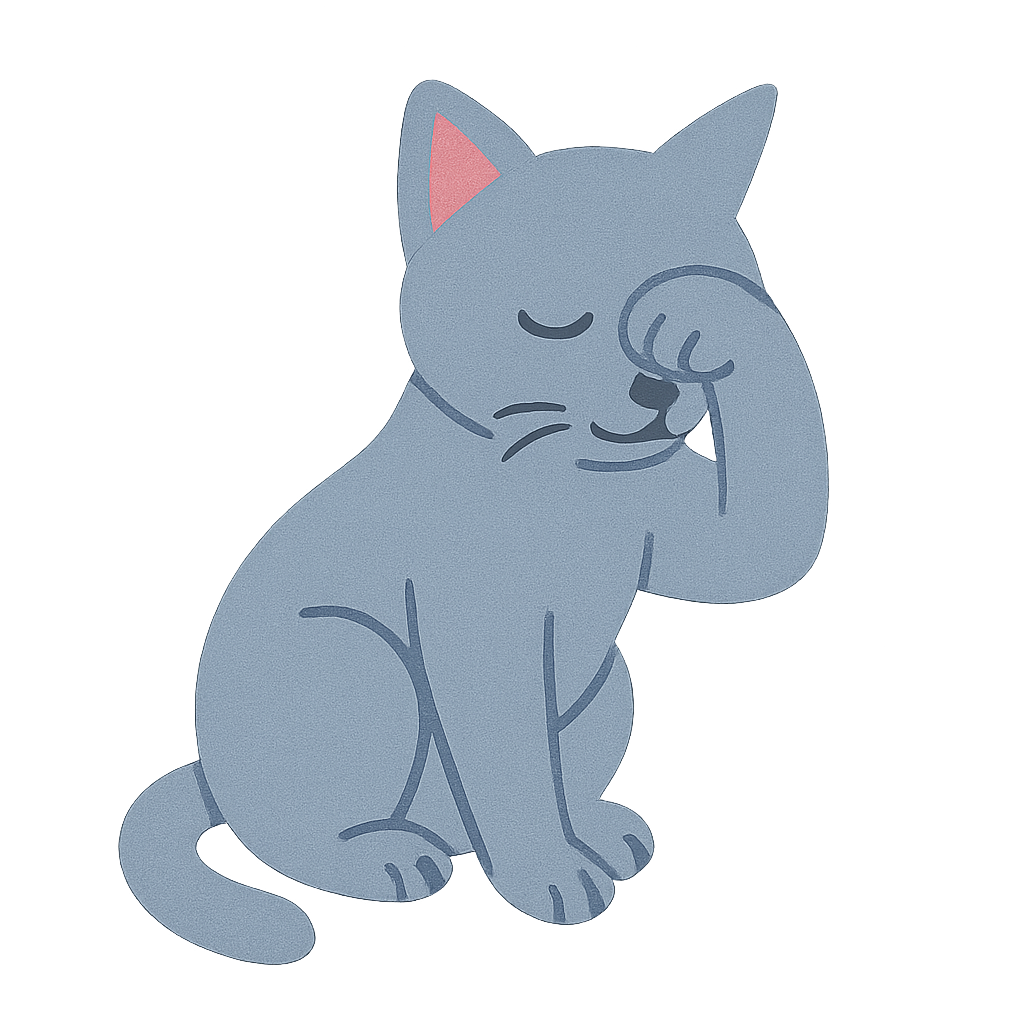 러시안블루가 얼굴 문지르는모습