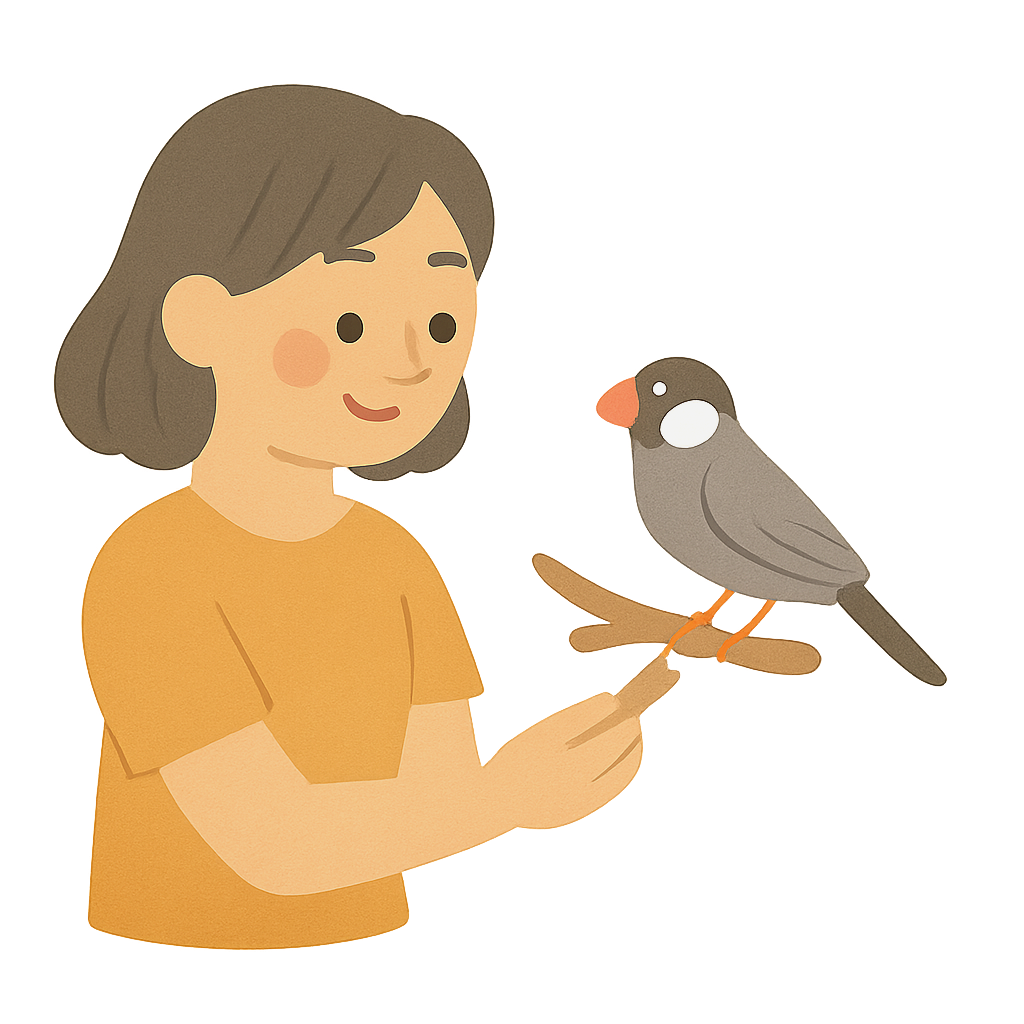 문조를 나뭇가지에 올려주기