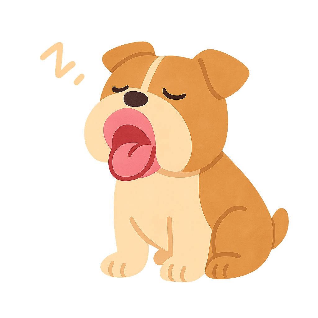 불독이 하품하는모습