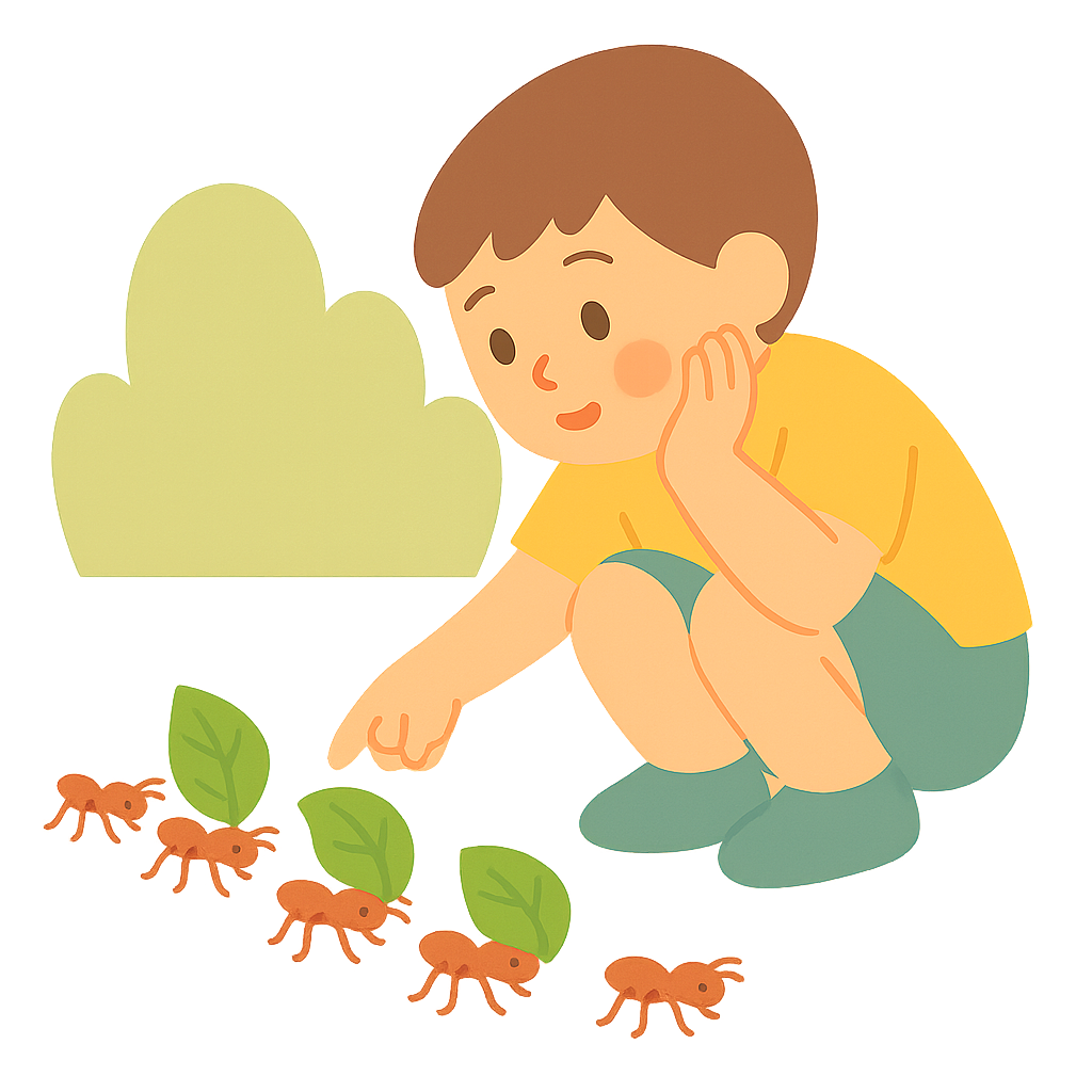 나뭇잎을 나르는 개미를 관찰하는모습