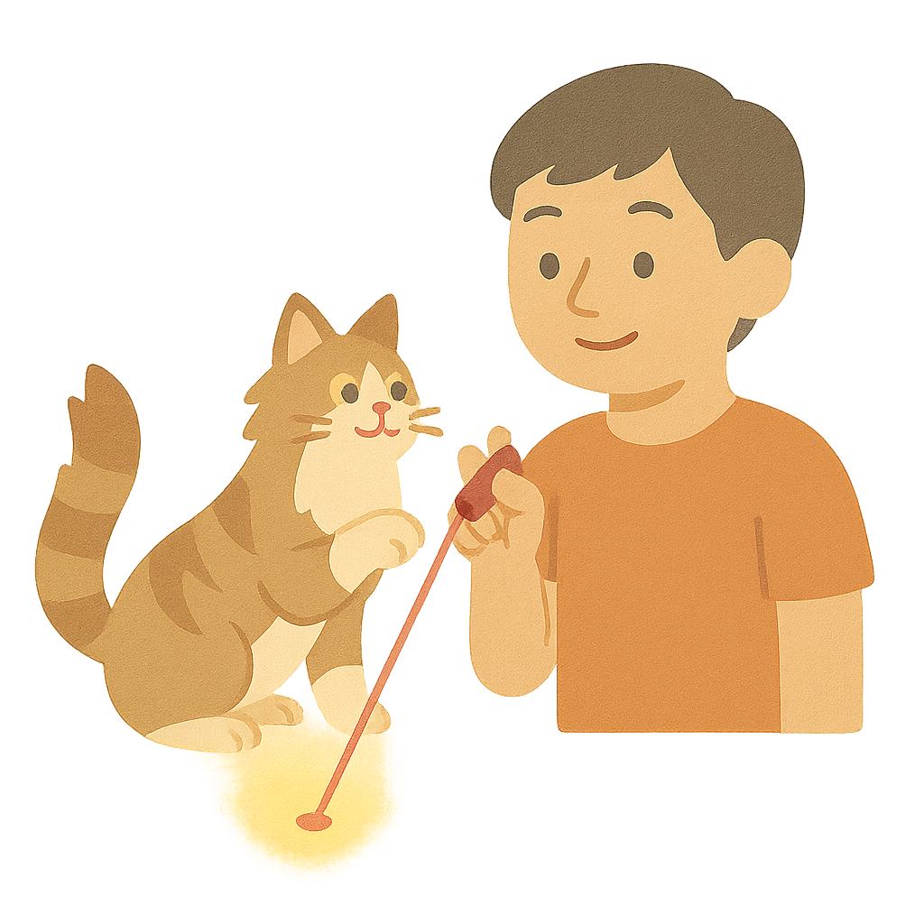 고양이랑 놀아주는 모습