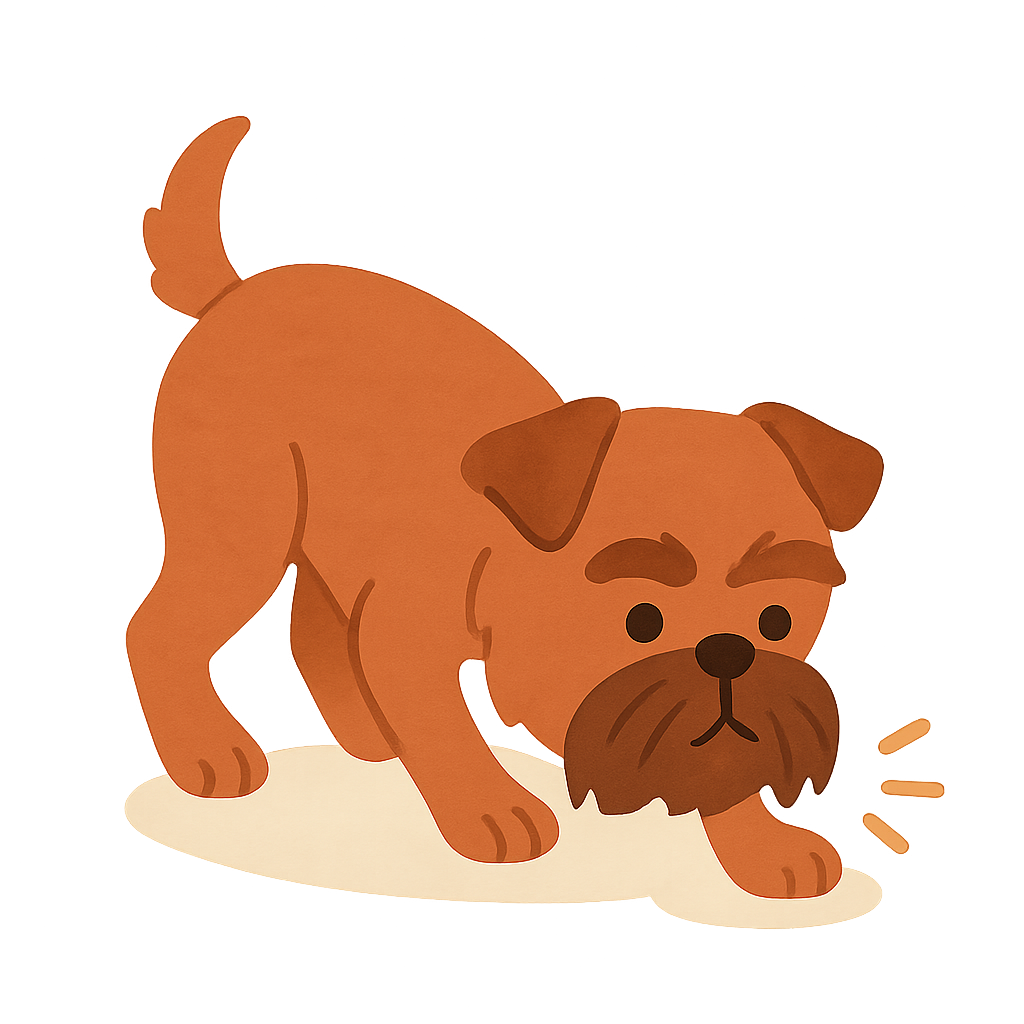 브뤼셀 그린펀이 냄새맡는모습