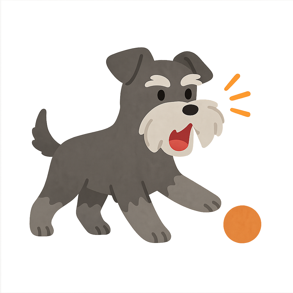 미니어쳐 슈나우처가 놀고있는모습