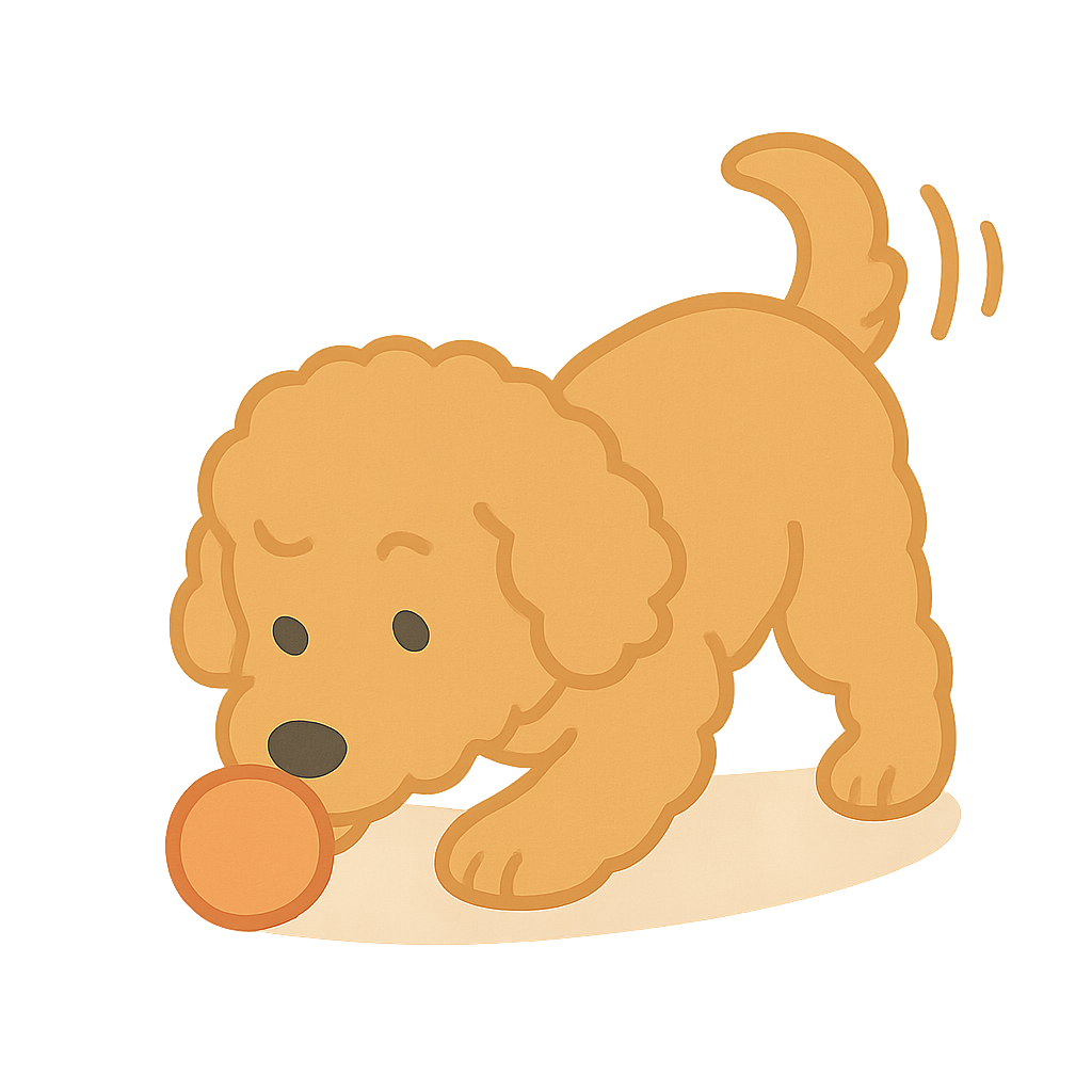 골든 푸들이 공을코로밀기