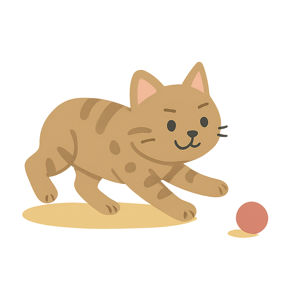 꼬리없이 공가지고 노는모습