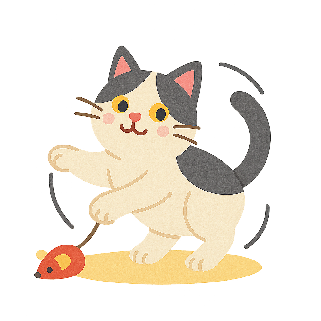 바이컬러 고양이가 장난감놀기