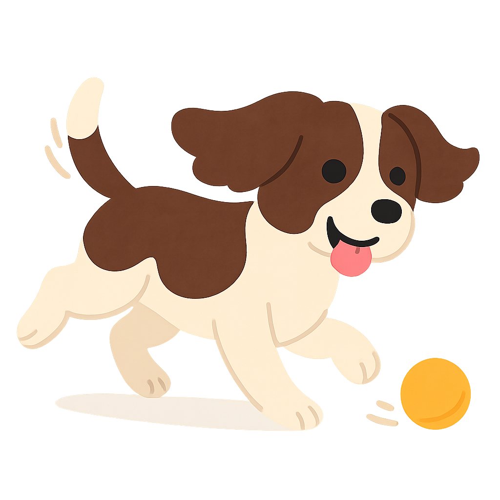 스프링어 스패니얼이 귀 펄럭이며 공 쫒기