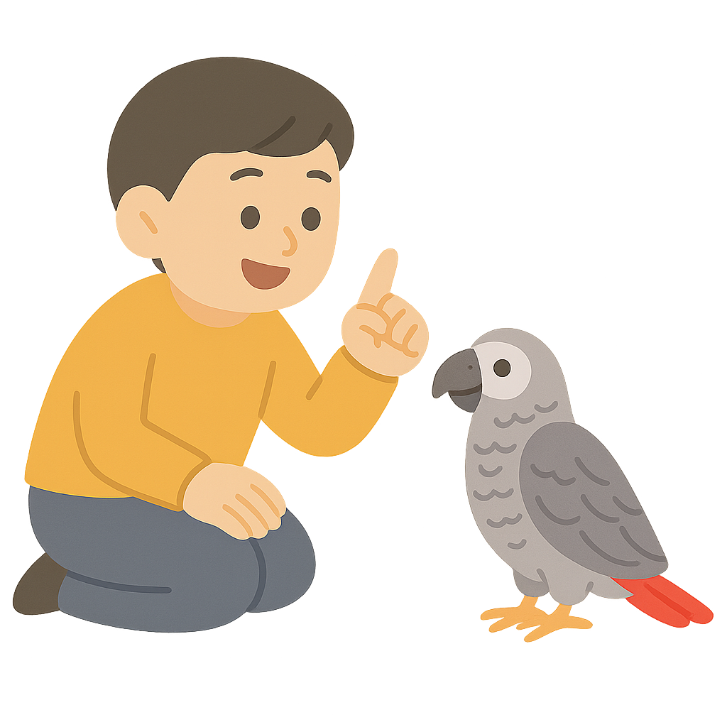 아프리카 앵무에게 말가르치기